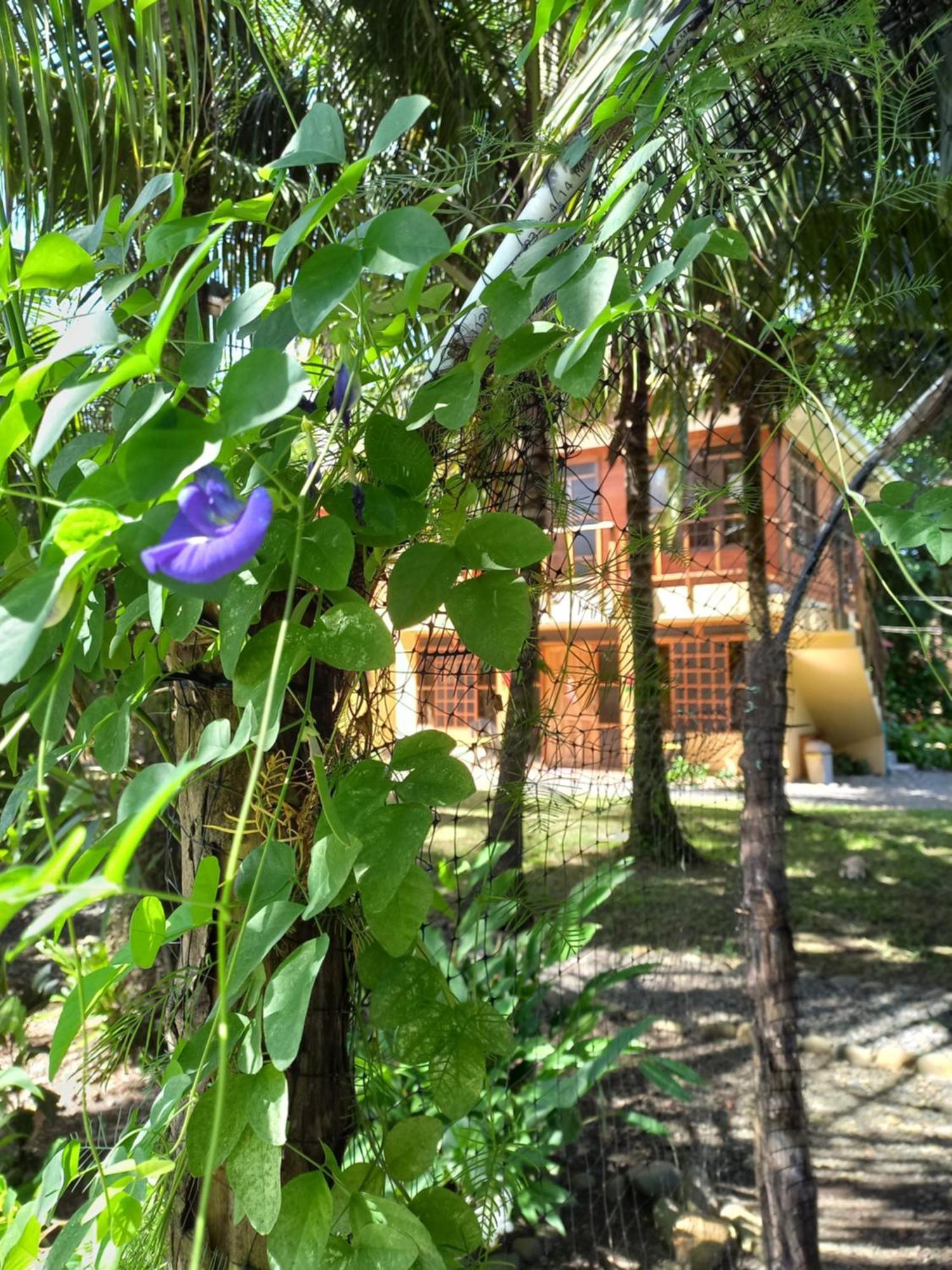 Babilonia Aparthotel Кахуита Екстериор снимка